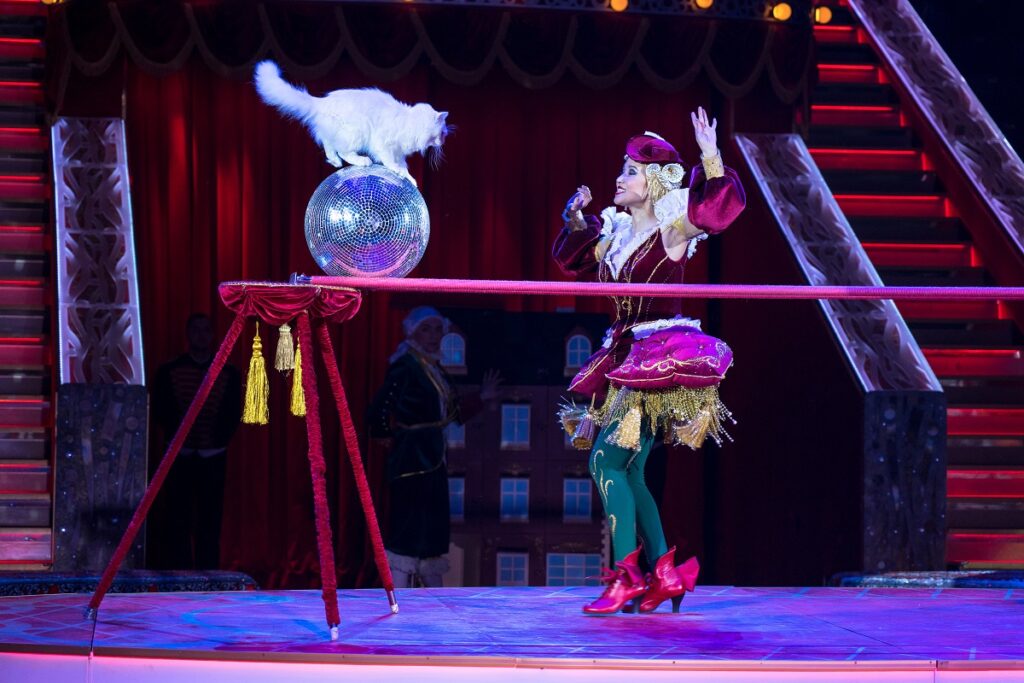 State Duma Proposes Ban on Circus Animals in Russia