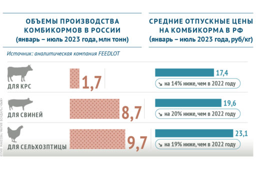 В России растет производство комбикормов и снижаются цены на эту продукцию