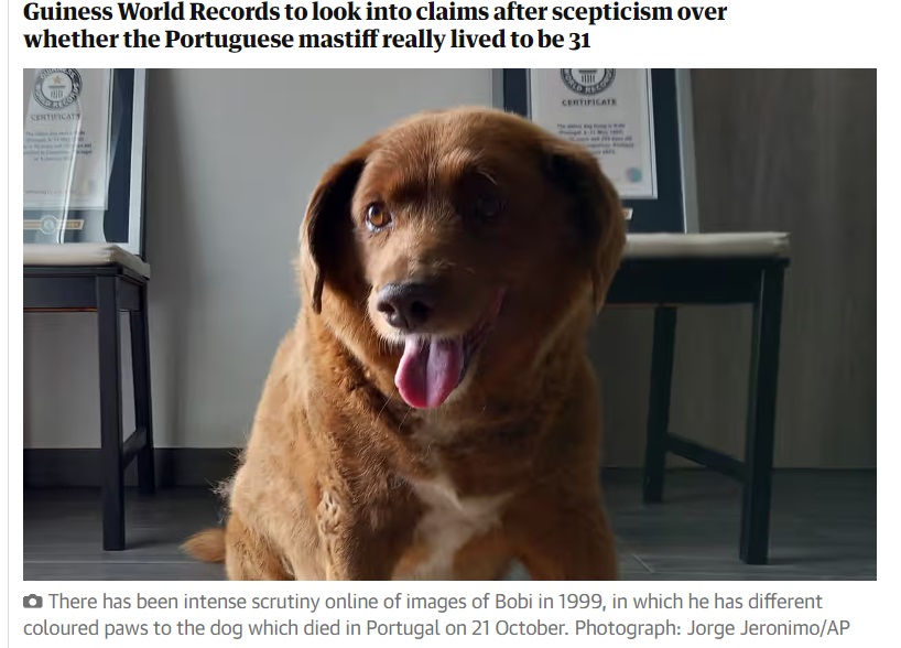 Ветеринарные эксперты сомневаются, что пес Боби из Книги рекордов Гиннесса смог прожить 31 год
