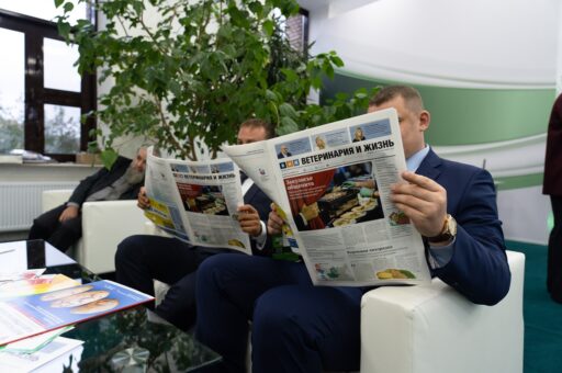 Новый выпуск «ВиЖ»: закулисье общепита, кормовая лихорадка и фальшеловка
