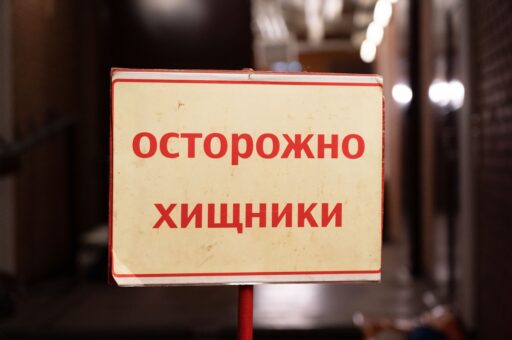 Народный фронт призвал доработать закон о реабилитации диких животных из-за риска передачи хищников людям