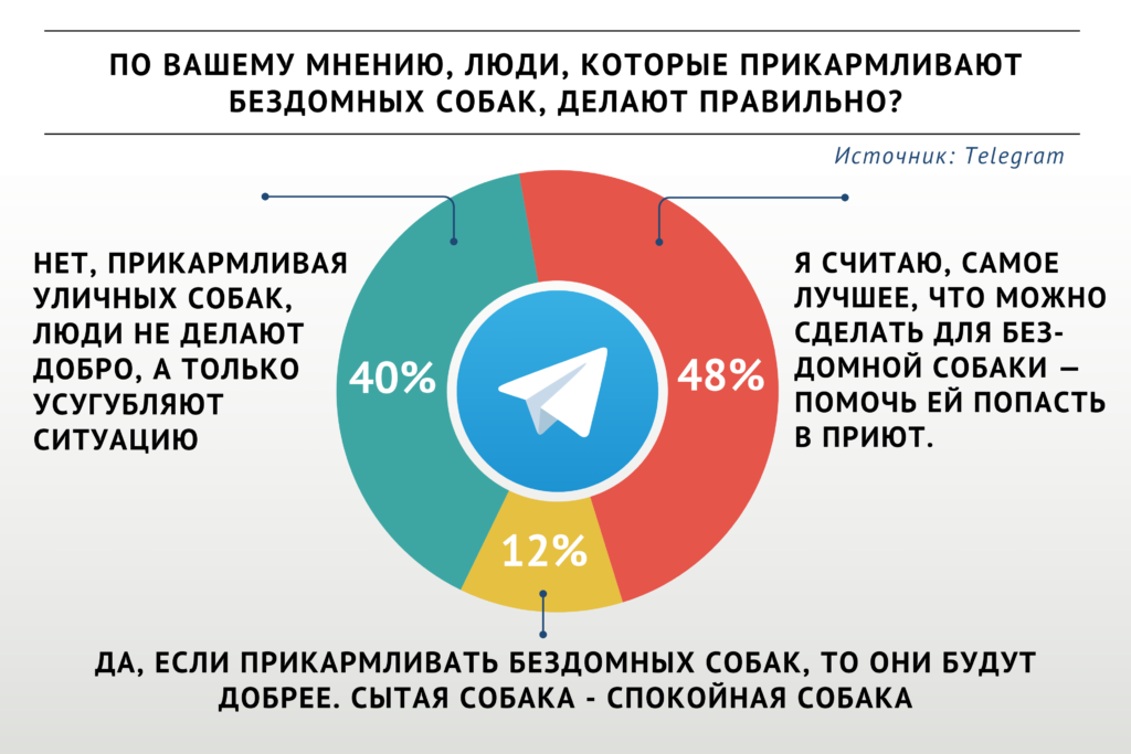 Против прикармливания бродячих собак высказались 40% участников опроса «ВиЖ»