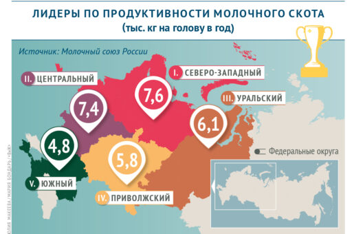 Названы лидеры по продуктивности молочного скота в России