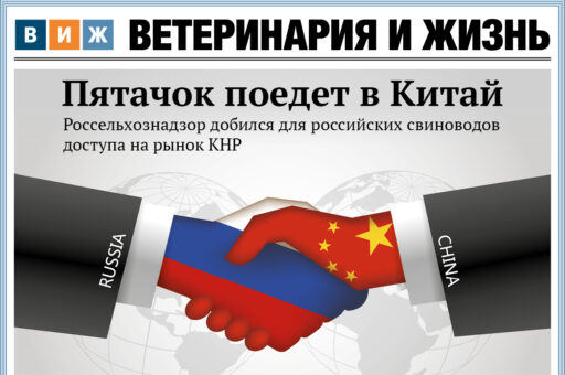 Новый номер «ВиЖ»: QR-код для зооменю, лейкозный коктейль и звездные питомцы