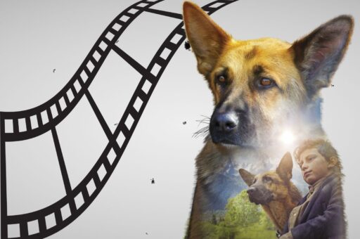 Топ кинофильмов о собаках-героях к 23 февраля
