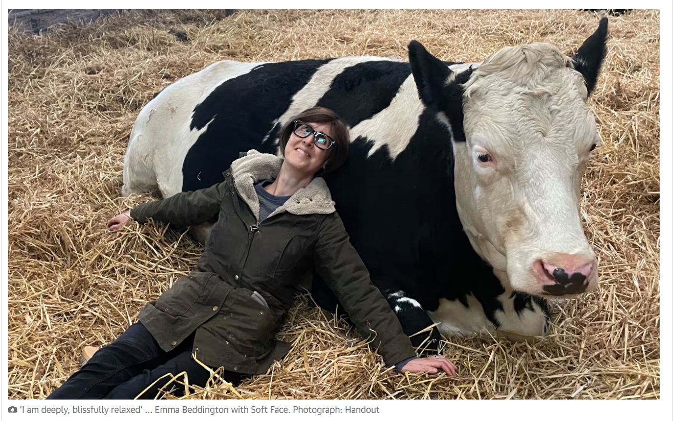 Британцы предлагают избавляться от стресса, обнимая коров
