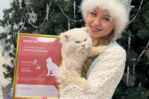 Кота Степана из костромской резиденции Деда Мороза застраховали на 100 тыс. рублей