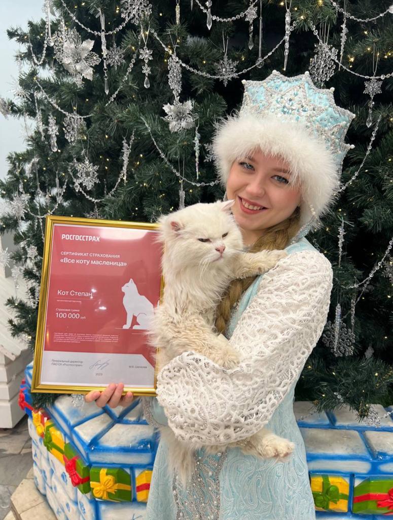 Кота Степана из костромской резиденции Деда Мороза застраховали на 100 тыс. рублей