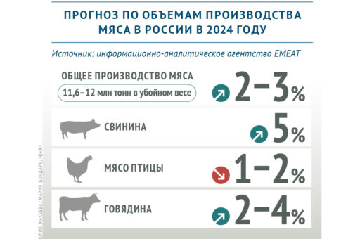 Эксперты «ВиЖ» дали прогноз на 2024 год по объемам производства мяса в России