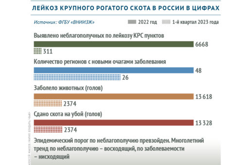 Эпизоотическая ситуация по лейкозу КРС в России