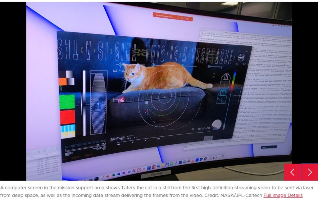 Кот помог НАСА отправить потоковое видео из глубокого космоса