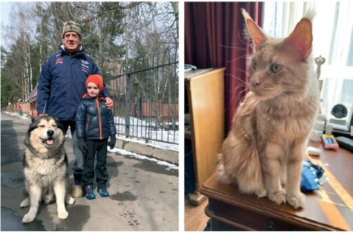 Сенатор Сергей Митин: Жорик и Дизель – члены нашей семьи