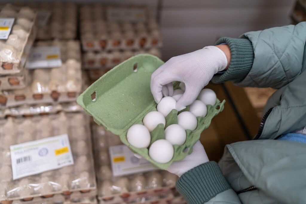 Ленинградская область вышла в лидеры в РФ по объемам производства куриных яиц