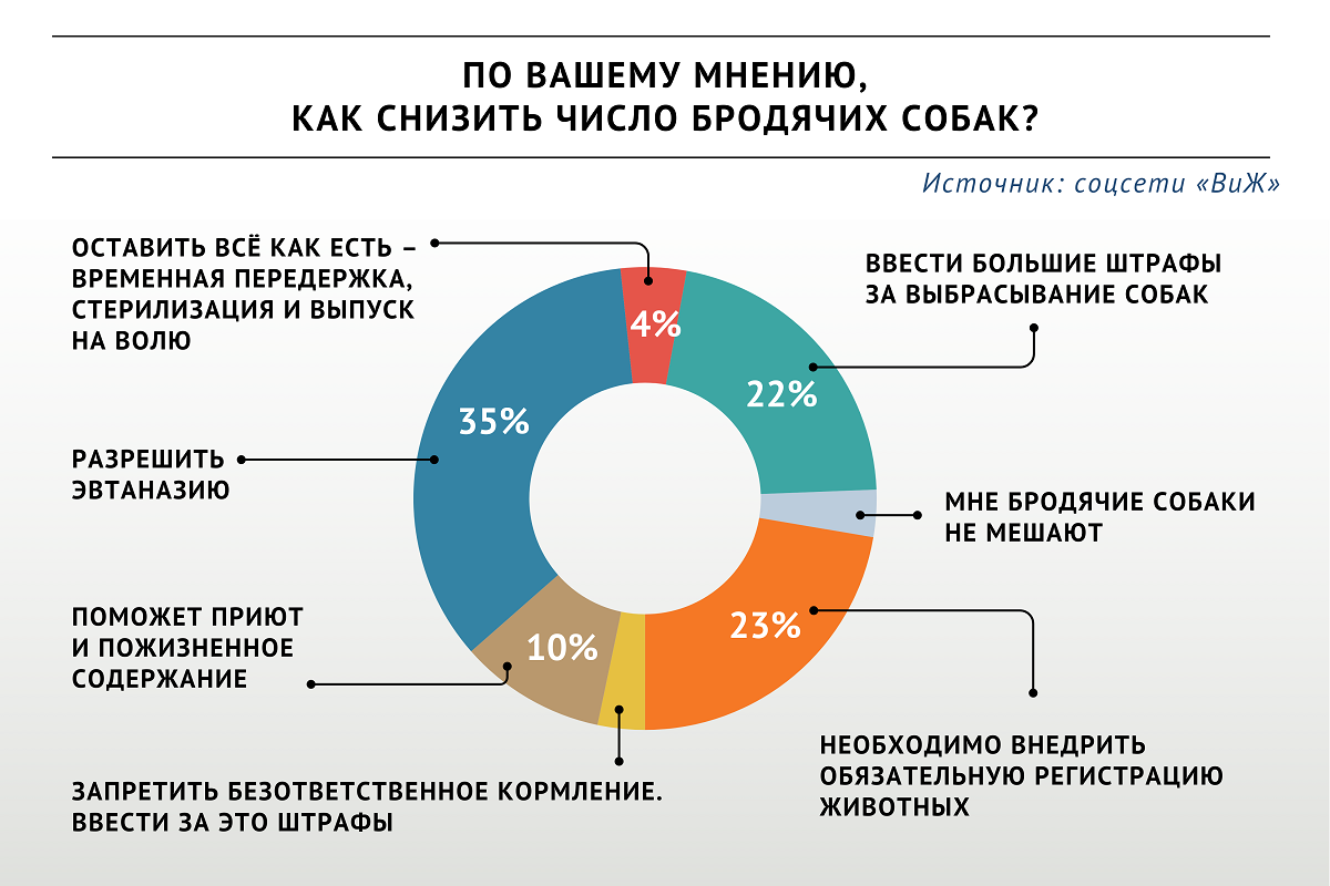 Участники опроса «ВиЖ» выступили за эвтаназию бездомных собак | Ветеринария  и жизнь