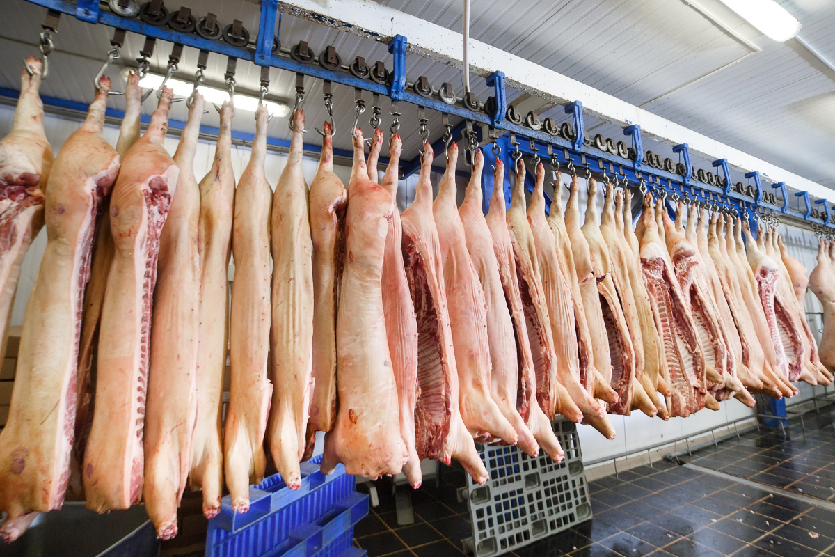 Экспорт российской свинины в Китай по итогам года может превысить 50 тыс. тонн
