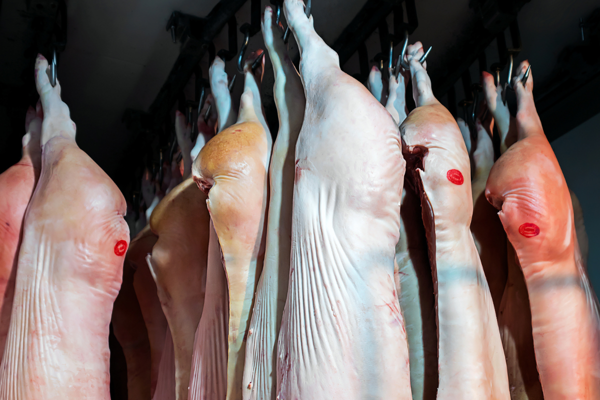 Эксперт пояснил причину падения оптовых цен на свинину