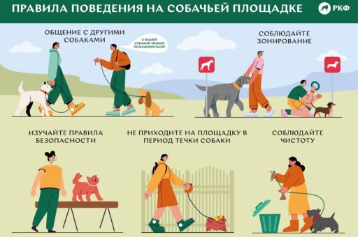 Кинолог рассказал о правилах поведения на площадке для собак