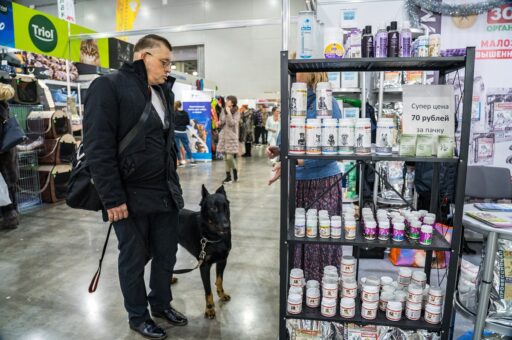 Влажные корма в паучах для собак подорожали за год почти на 15%