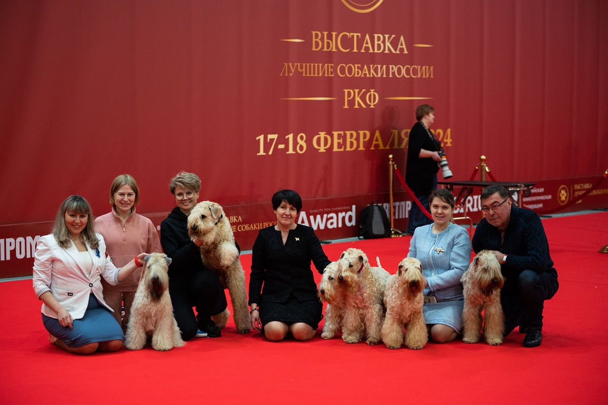 Фоторепортаж: выставка «Лучшие собаки России» | Ветеринария и жизнь