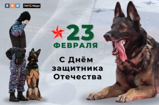«Ветеринария и жизнь» поздравляет с Днем защитника Отечества