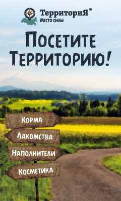 Эти удивительные животные. Собака и носок | Мадам Самая Умная | Дзен