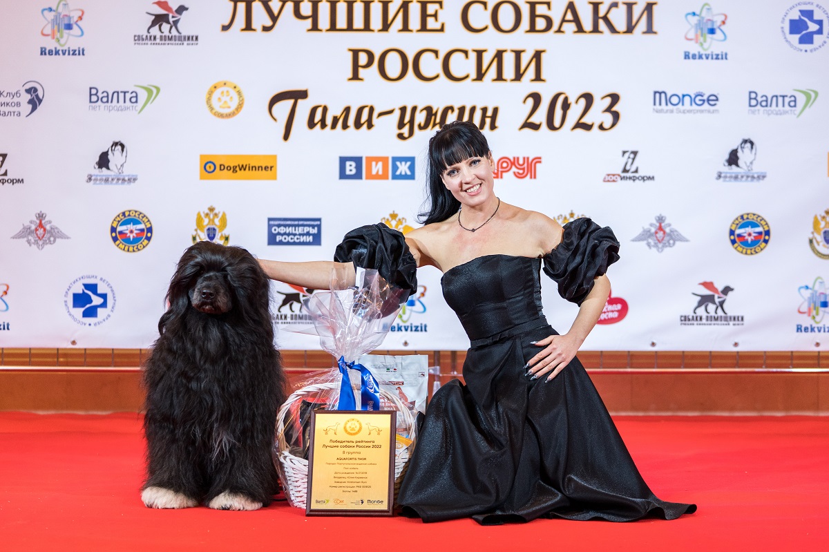 Лучших собак России назовут в феврале в Москве