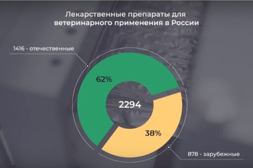 На российском рынке ветпрепаратов 62% – отечественного производства