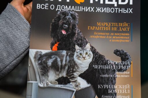 Тина Канделаки рекомендует журнал «Питомцы»