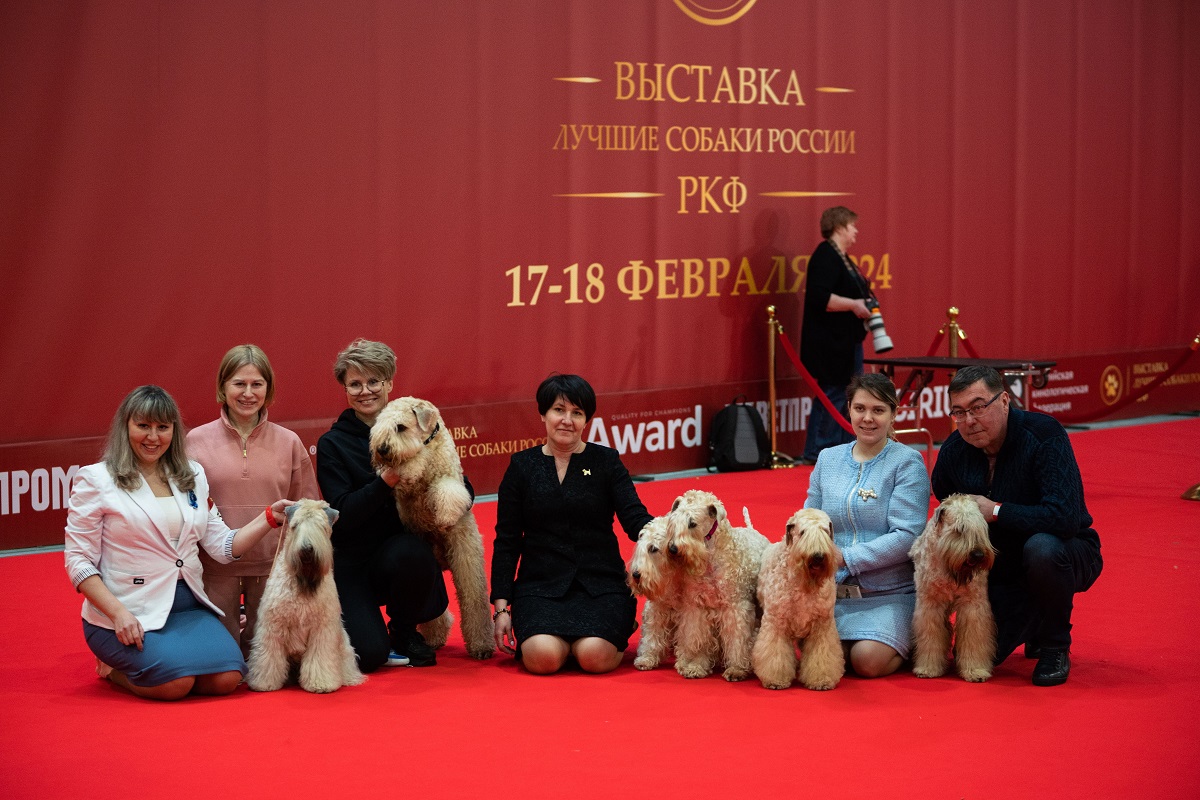 Фоторепортаж: выставка «Лучшие собаки России»