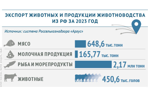 Россия экспортировала почти 649 тыс. тонн мяса за 2023 год