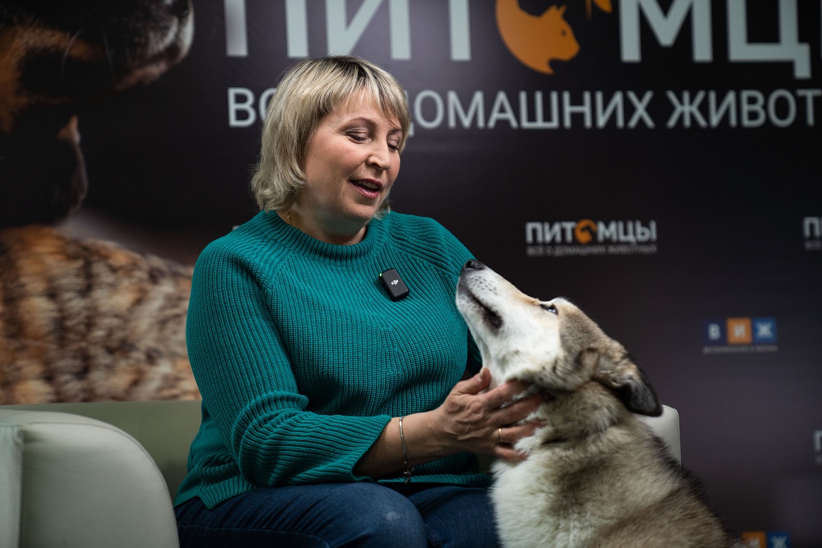 Светлана Моисеева знает, как воспитать хендлера | Ветеринария и жизнь