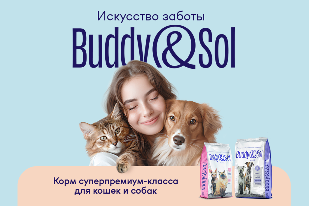 Buddy sol корм отзывы