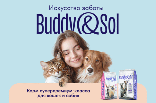 Новый полнорационный сухой корм Buddy&Sol в премиум и суперпремиум классах