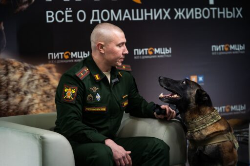 Эксперт рассказал, каких собак берут в армию