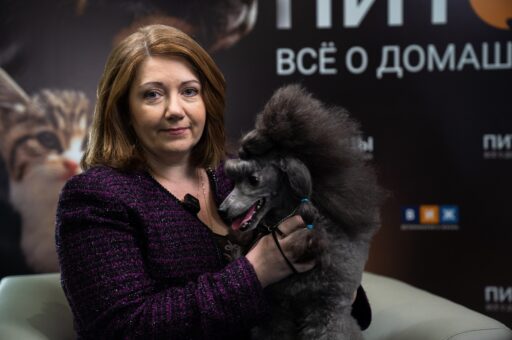 Виктория Денисова: «Пудель подойдет любому»
