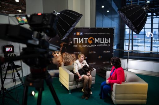 Расскажите о себе в видеостудии «Питомцев»
