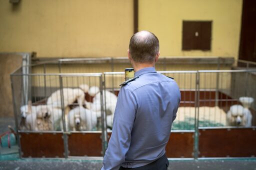 Нелегальный цирк обнаружили в Забайкальском крае