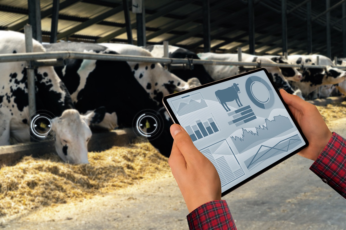 Ферма будущего без людей: как цифровизация позволяет животноводам выйти на качественно новый уровень производства