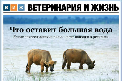 Новый номер «ВиЖ»: питомцев отучают от импорта, срок за контрабанду вирусов и агрохакеры в деле