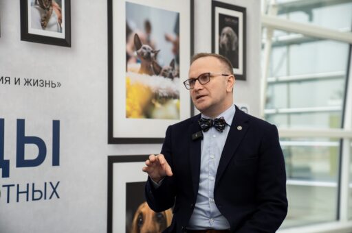 Алексей Ермаков о психическом здоровье кошек и собак