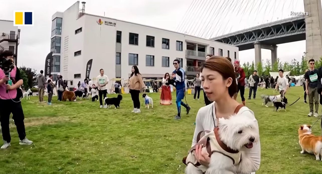 Владельцы собак в Китае тренируются вместе с питомцами
