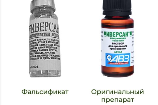 Россельхознадзор предупреждает о фальсифицированном ветпрепарате «Иверсан»