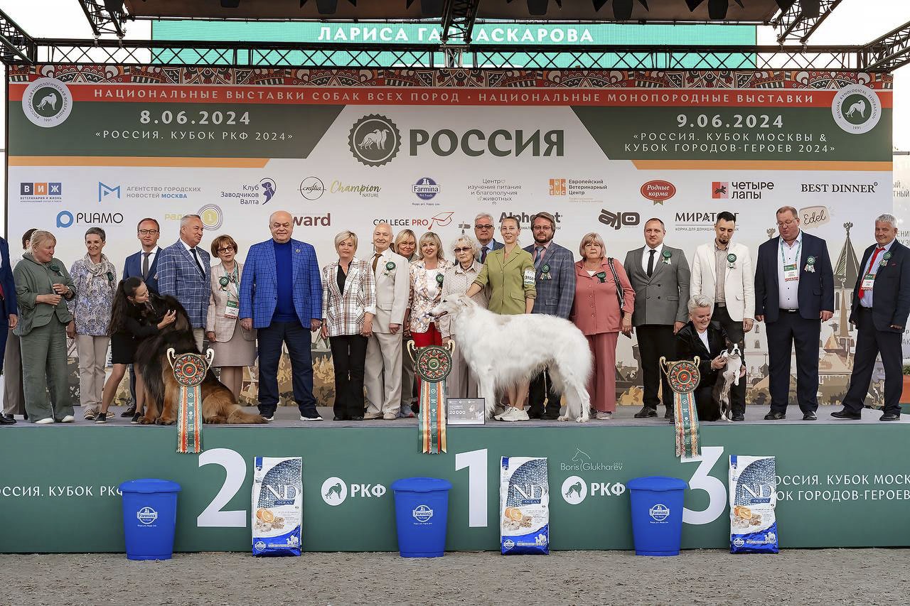 Выставка «Россия-2024» собрала лучших собак из 53 стран