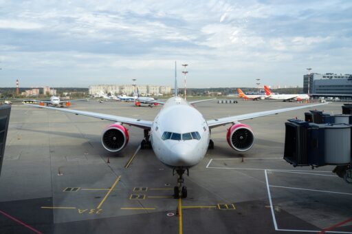 Авиакомпания Utair опровергла информацию о том, что причиной гибели кошки в самолете стала жара