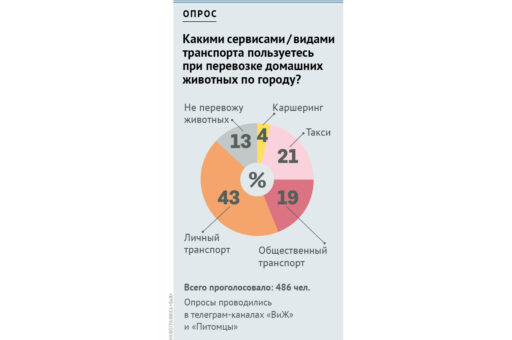 Опрос «ВиЖ»: как вы перевозите домашних питомцев по городу