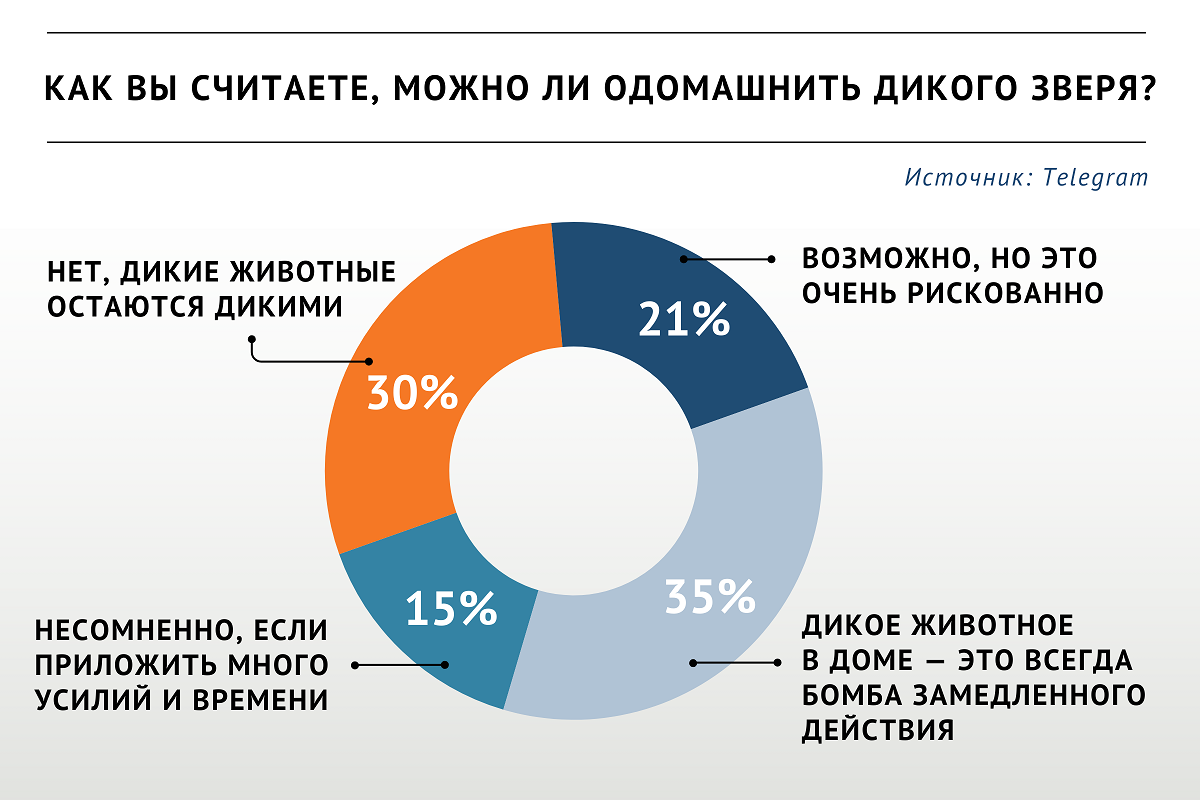 Участники опроса «ВиЖ» высказались против содержания дома диких зверей