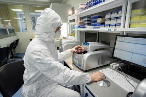 ВНИИЗЖ разработал высокоточную тест-систему для выявления генома вируса КЧС