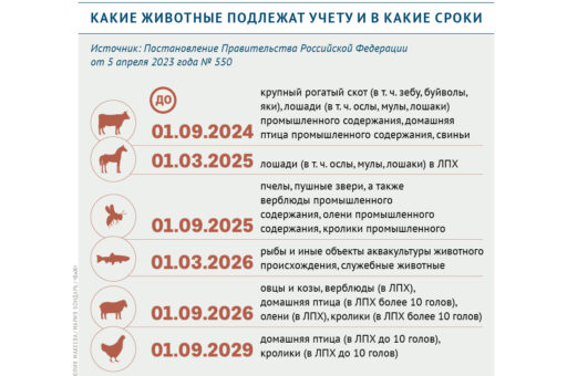 Какие животные подлежат учету и в какие сроки