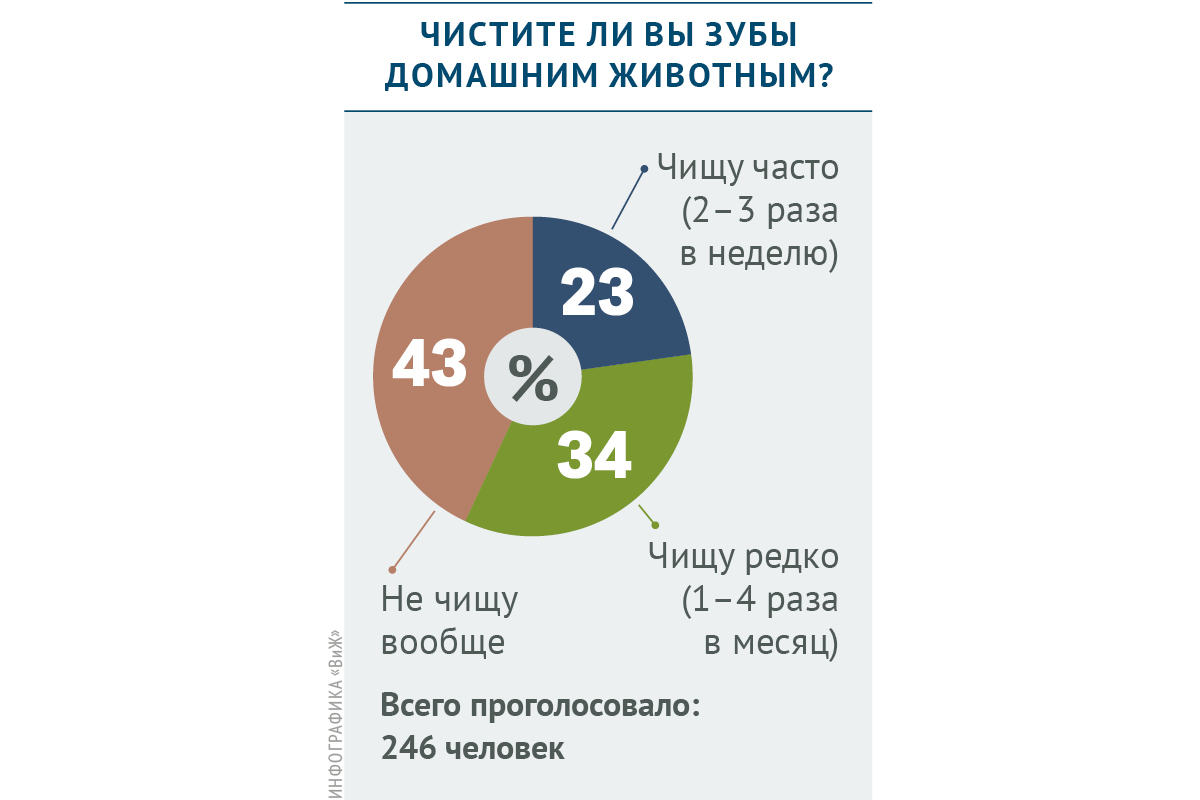 Опрос «ВиЖ»: чистите ли вы зубы домашним животным