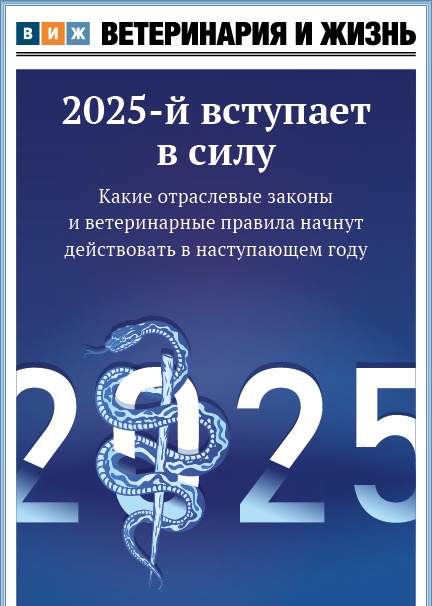 Номер 12 (91) декабрь 2024